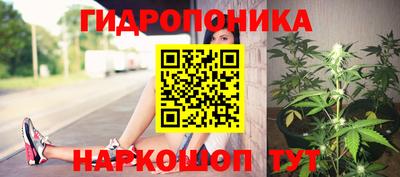 ГАЛЛЮЦИНОГЕННЫЕ ГРИБЫ Ачхой-Мартан